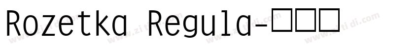 Rozetka Regula字体转换